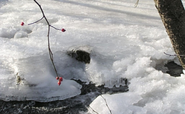 Február 24. Jégtörő Mátyás, Mátyás napi népszokások