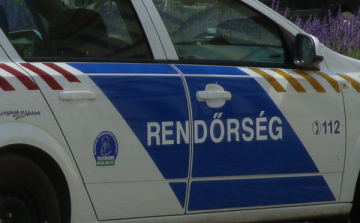 Tizenegy nap alatt 250 online csalást derített fel a rendőrség