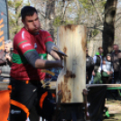 Timbersports