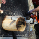 Timbersports