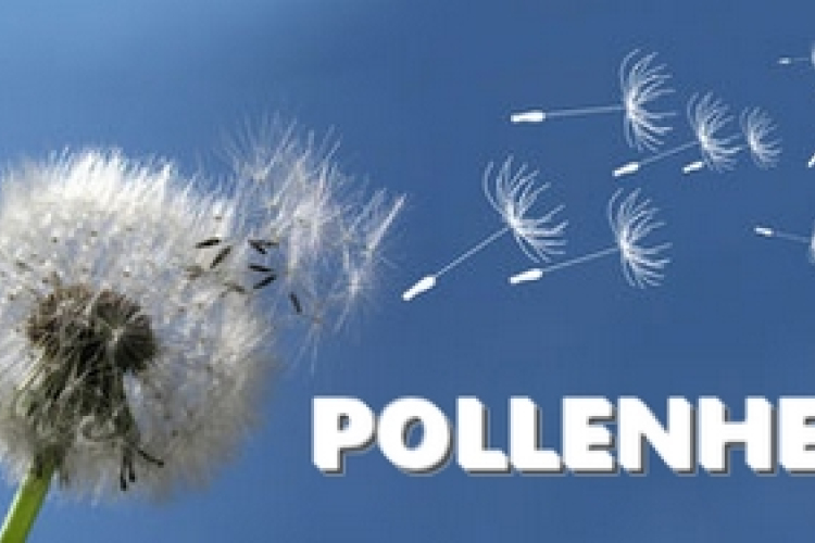 Pollen napló szolgáltatás