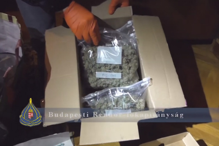 Nagy drogfogás a fővárosban, kiszagolták a rendőrök - VIDEÓ