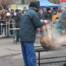 Tatabányai Malacságok