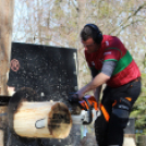 Timbersports