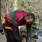 Timbersports