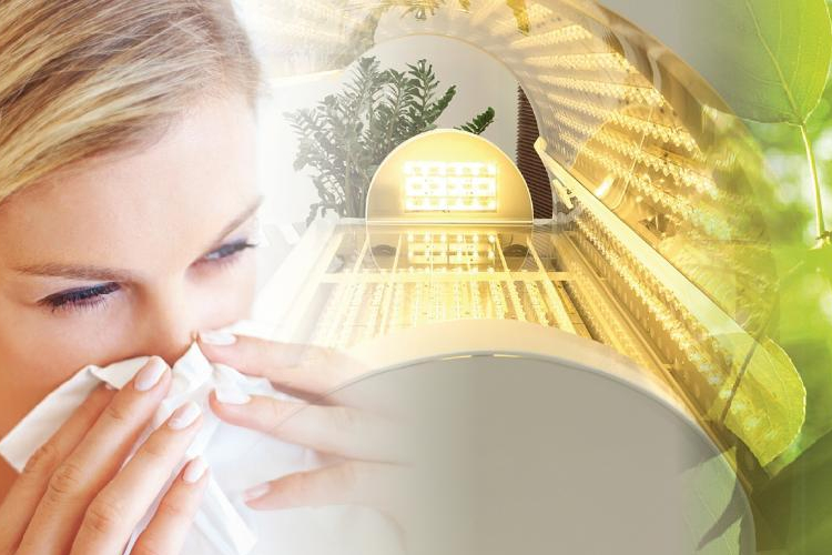 Sensolite polarizált fényterápiával az allergia ellen