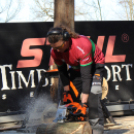 Timbersports