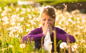 Pollen jelentés!