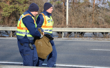 RENDŐRÖK MENTETTÉK MEG A KUTYÁT 