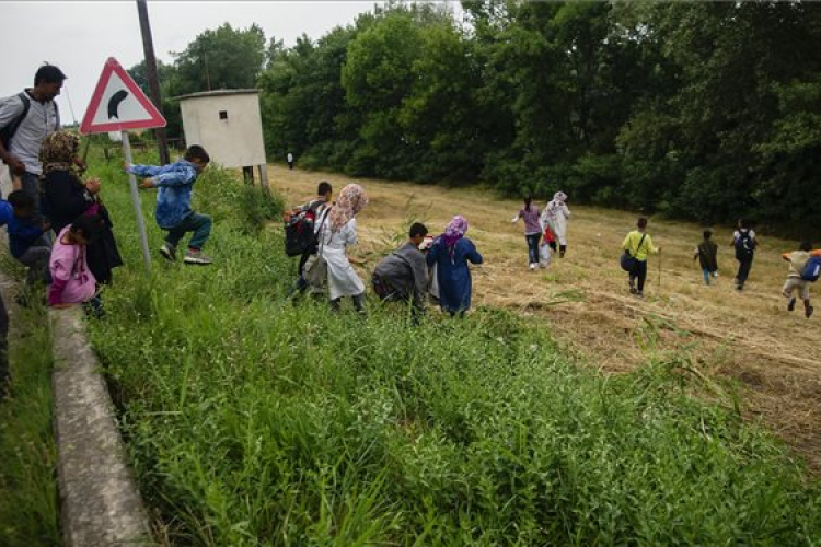 Illegális bevándorlás - 54 ezer menedékkérőt oszt szét az unió