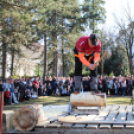 Timbersports