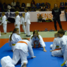 Nemzetközi Faragó Benjamin judo-rangsorverseny Tatabányán 