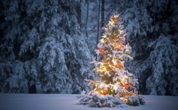 December:Karácsony hava -Télelő - Álom hava - Istenfiak (Tárkányok) hava