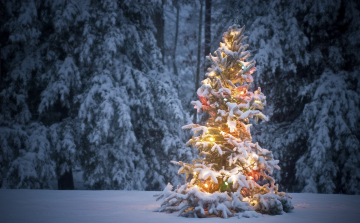 December:Karácsony hava -Télelő - Álom hava - Istenfiak (Tárkányok) hava