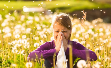 Pollen jelentés