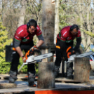 Timbersports