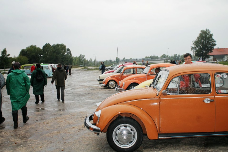 19. Tatabányai Bogártalálkozó