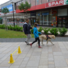 Esélyegyenlőségi nap az Árpád téren