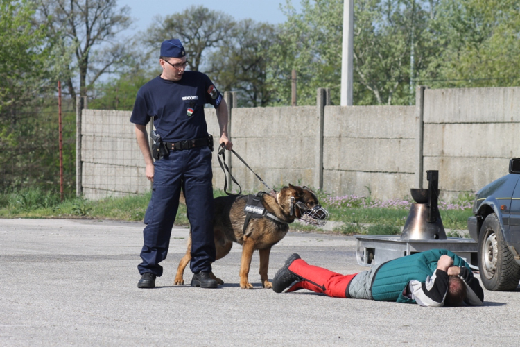 Közbiztonsági nyílt nap 2500 gyermekkel