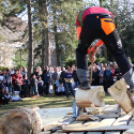 Timbersports