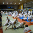 Nemzetközi Faragó Benjamin judo-rangsorverseny Tatabányán 