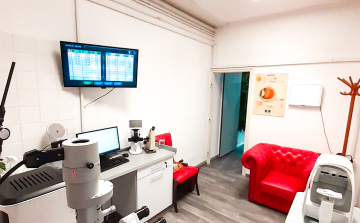 INGYENES ZÖLDHÁLYOG SZŰRÉS A KODÁLY TÉRI OPTIMARKTBAN