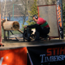 Timbersports