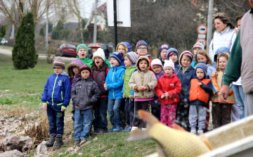 40 mázsa pontyot telepítettek a környei tóba