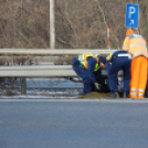 RENDŐRÖK MENTETTÉK MEG A KUTYÁT