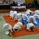 Nemzetközi Faragó Benjamin judo-rangsorverseny Tatabányán 