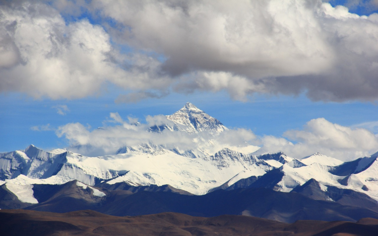 Egyre több növény él a Mount Everest térségében