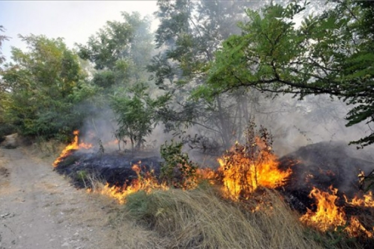 Négy megyében rendel el tűzgyújtási tilalmat a Nébih