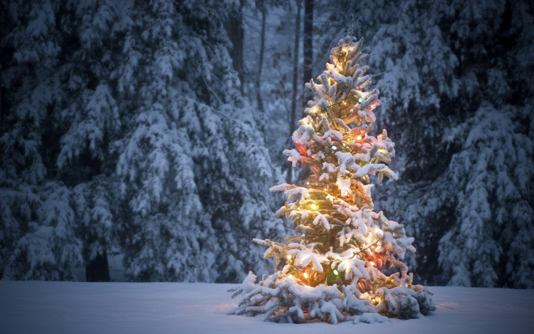 December:Karácsony hava -Télelő - Álom hava - Istenfiak (Tárkányok) hava